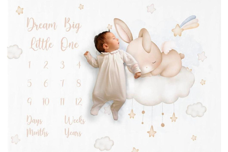 Rabbit Anı Örtüsü